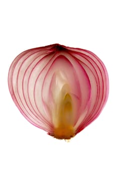 Almost transparent slice of onion