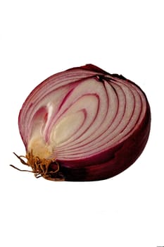 Almost transparent slice of onion