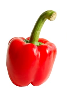 red paprika on white background