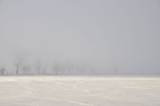 Trees in fog next to a frozen lake.