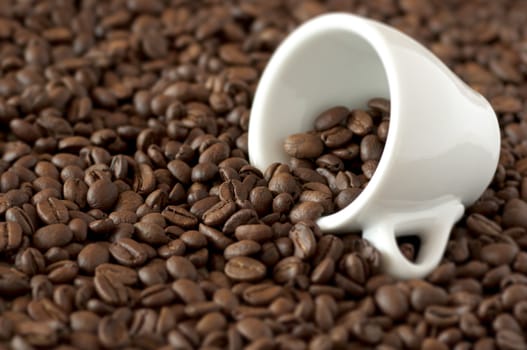 cup lying on coffee beans