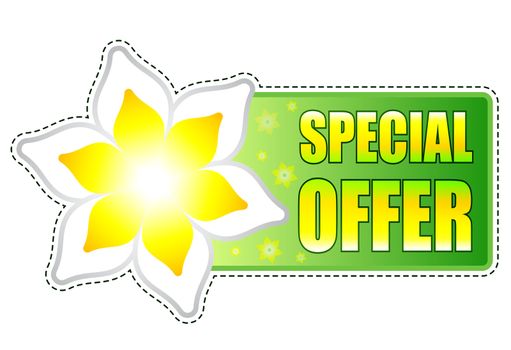 spring special offer banner - text in green label with white yellow flowers, business concept