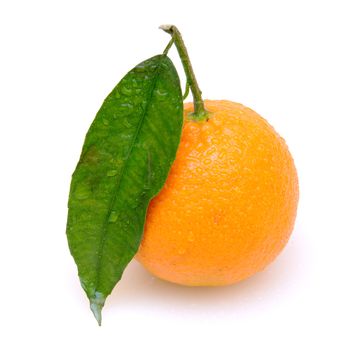 Tangerine with green leave and water drops on a white background