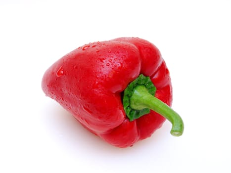 red paprika with water drops on a white background