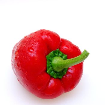 red paprika with water drops on a white background