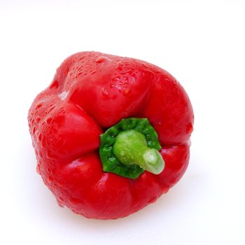 red paprika with water drops on a white background