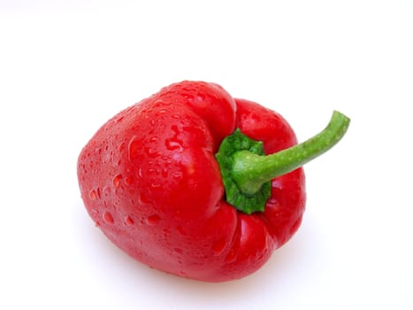 red paprika with water drops on a white background