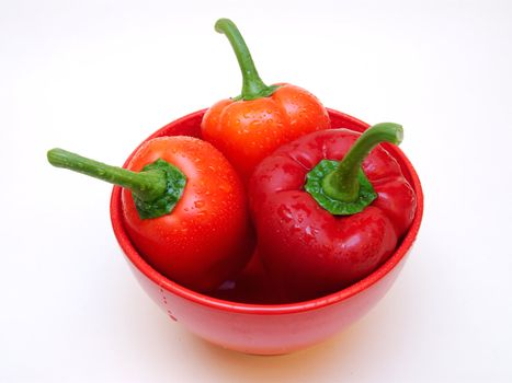 Three red paprikas in a red bowl on a white bakground