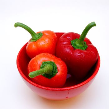 Three red paprikas in a red bowl on a white bakground