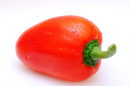 red paprika with water drops on a white background