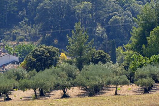 French landscape of the Cevennes in the department of Gard