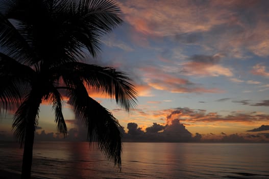 Tropical sunrise over ocean with silhouette of palm tree