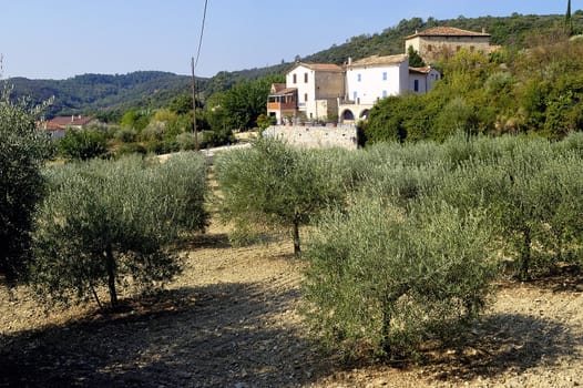 French landscape of the Cevennes in the department of Gard