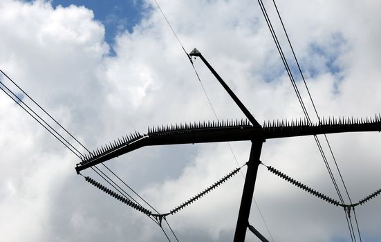Electric power lines and bird deterrent