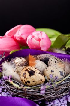 pink tulips and brown eggs with purple ribbon colorful easter decoration