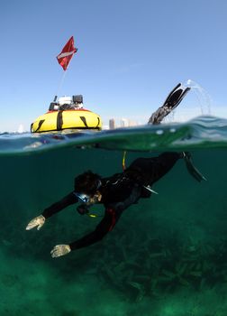 Young man using hookah for diving in ocean with the city of Fort Lauderdale in the background