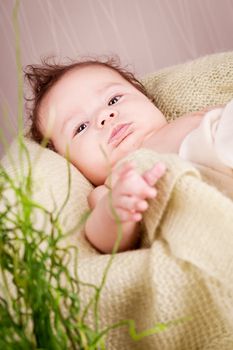 sweet little baby infant toddler on white  blanket in basket at home