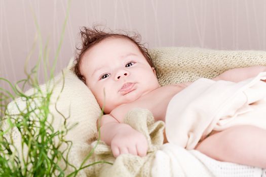 sweet little baby infant toddler on white  blanket in basket at home