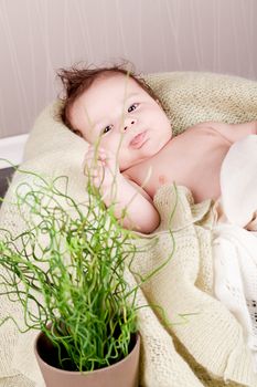 sweet little baby infant toddler on white  blanket in basket at home