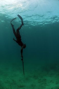 Man free diving and spearfishing in camouflage wetsuit in Atlantic Ocean