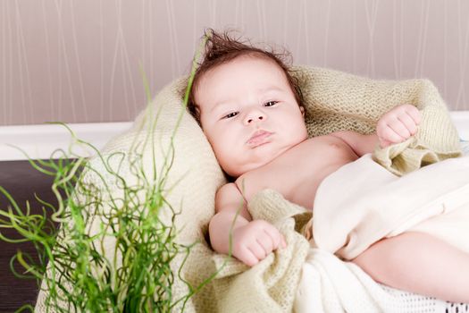 sweet little baby infant toddler on white  blanket in basket at home