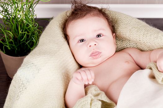 sweet little baby infant toddler on white  blanket in basket at home
