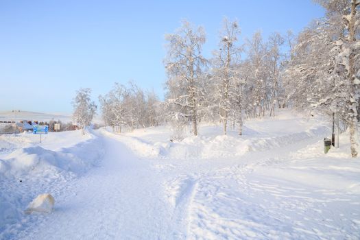Winter Landscape of Kiruna Garden Lapland Sweden