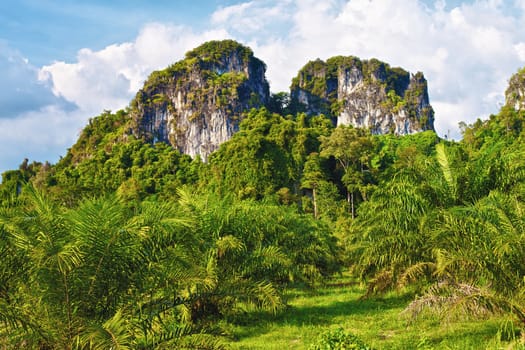 mountains with green trees in Krabi, Thailand