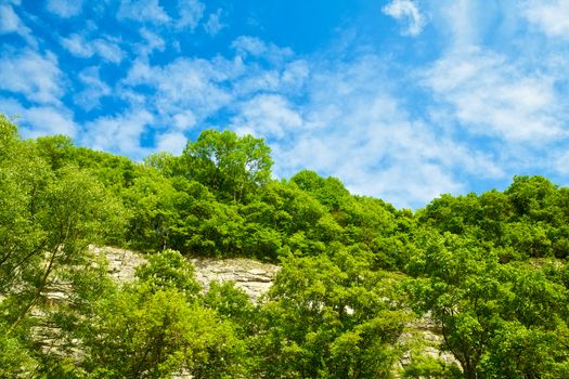 hillside with bushes at sunny summer day