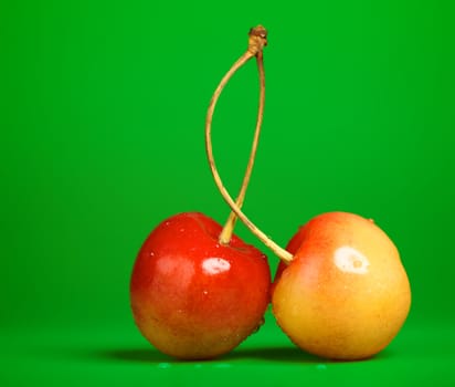 fresh pink cherries with stem on green background