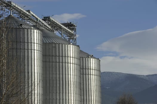 A row of shiny, steel silos