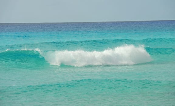 Scenic ocean setting with waves in tropical waters