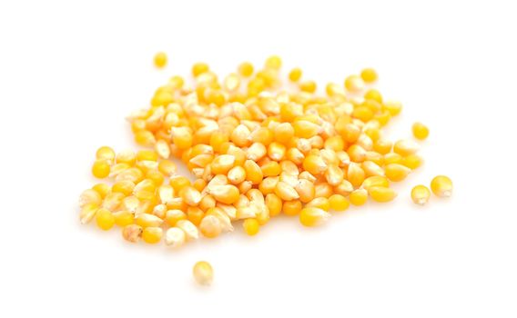 Raw popcorn seeds isolated on white background