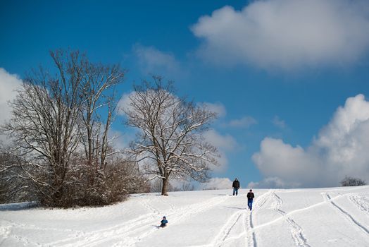 Stuttgart, Germany – February 9, 2013: Father and child having fun with their sledge, bright and white winter scene on February 9, 2013 on the hills of Feuerbacher Heide in Stuttgart, Germany.