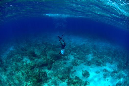 Man spearfishing and free diving in the Atlantic Ocean in the Bahamas