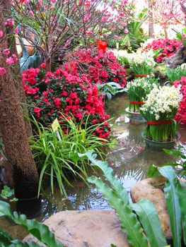 Beautiful flowers and trees in an Asian Garden