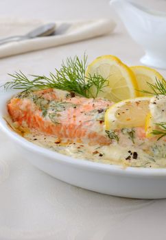 Salmon under gentle creamy lemon sauce with spices