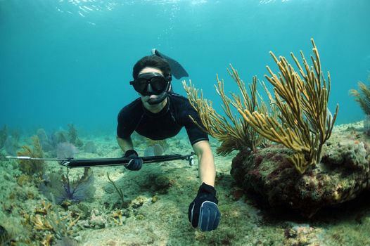 Man spearfishing underwater with speargun with staghorn coral in background