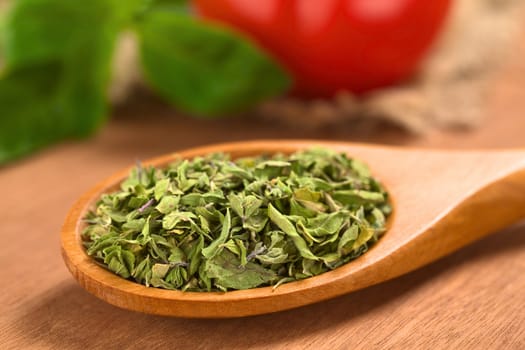 Dried oregano leaves on wooden spoon with tomato and basil in the back (Selective Focus, Focus one third into the dried oregano leaves)