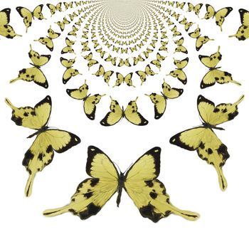 Kaleidoscopic Butterflies Illustration