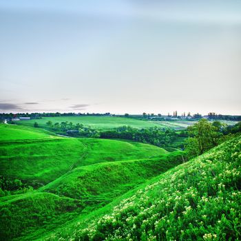 summer landscape with green meadows at evening