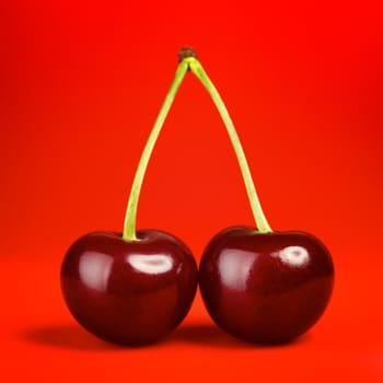 fresh red cherry with stem on red background