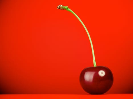 fresh red cherry with stem on red background