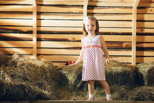 beautiful small girl on hayloft at sunny day