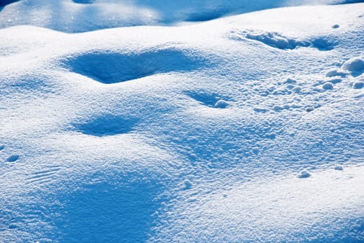Winter landscape in the cold season.