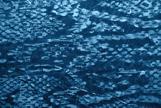 Closeup water snake texture.