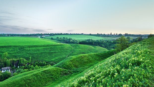 summer landscape with green meadows at evening