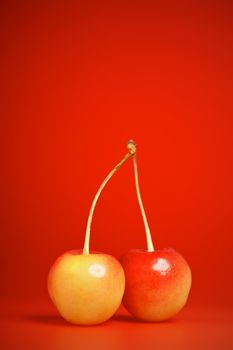 fresh pink cherries with stem on red background