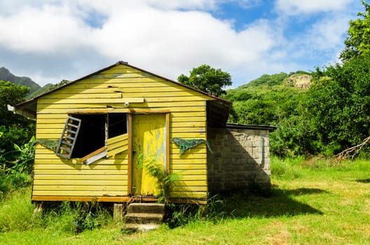 An old abandoned worn out house in a lush green clearing