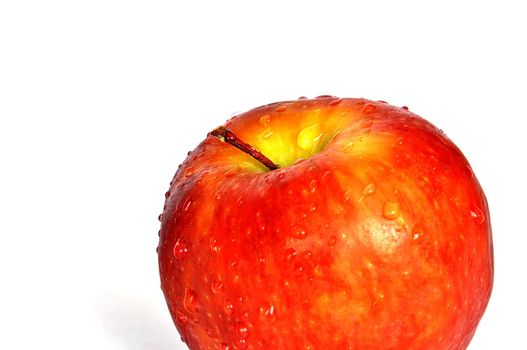 Red apple on white background 